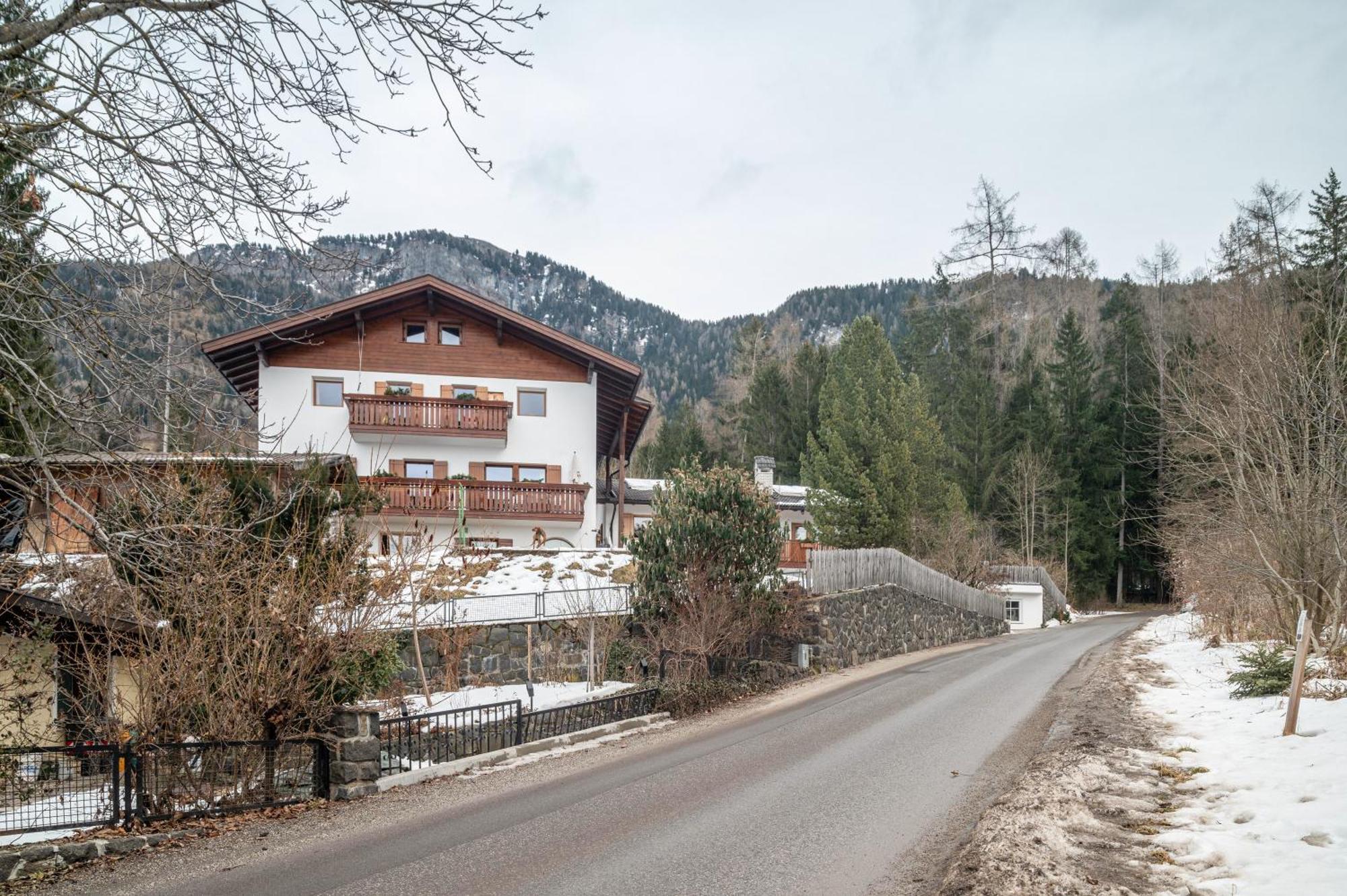 Ferienwohnung Toni II Siusi Dış mekan fotoğraf